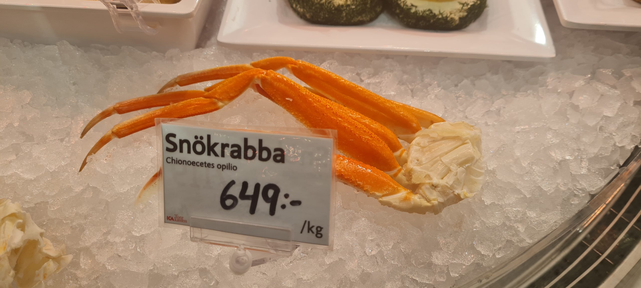 snökrabba
